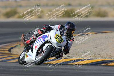 media/Feb-04-2023-SoCal Trackdays (Sat) [[8a776bf2c3]]/Turn 11 (945am)/